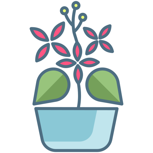 دانه و بذر های گیاهی