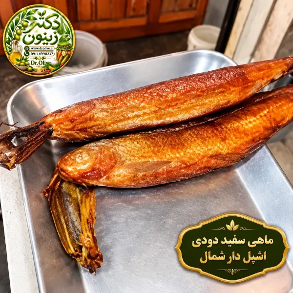 خرید ماهی سفید دودی اشپل‌دار اعلا | دکتر زیتون
