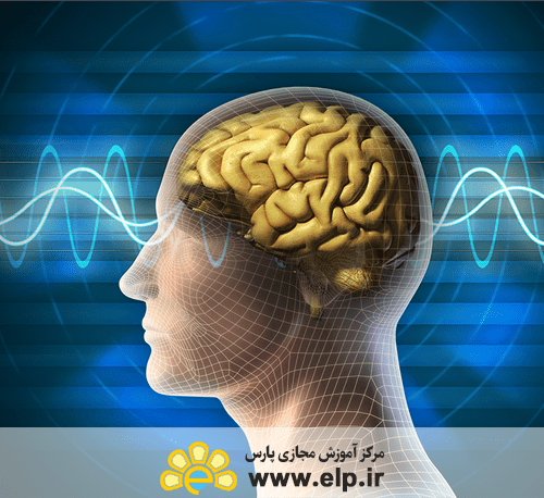 روانشناسی مدیریت گواهینامه پایان دوره : ملی  ۲,۰۰۰,۰۰۰ تومان