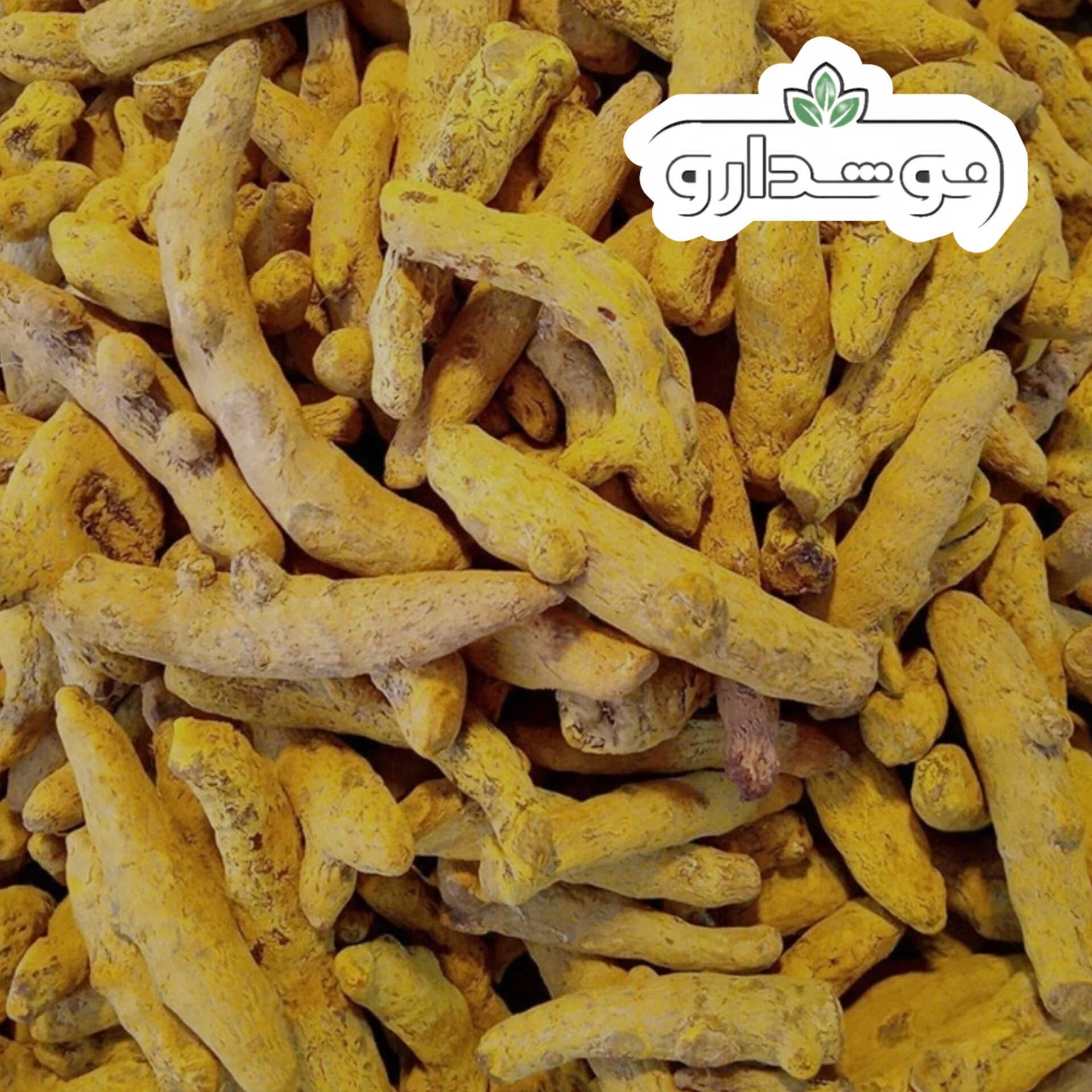 زردچوبه