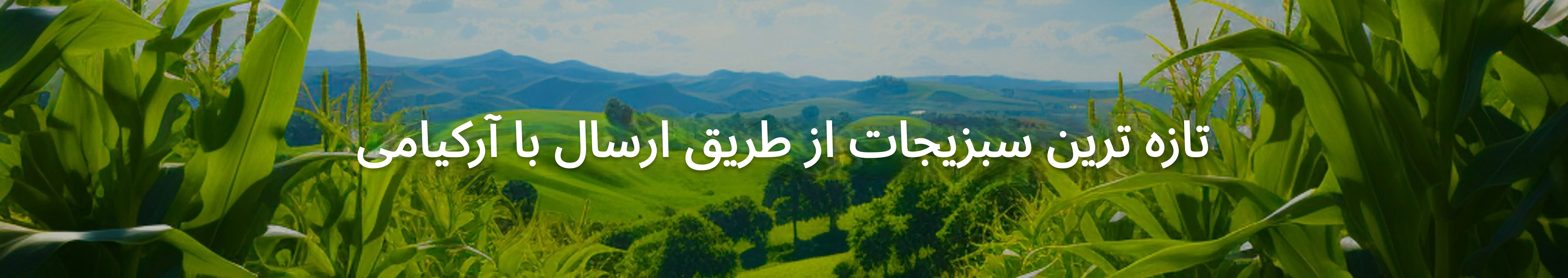 تصویر بک گراند - سبزیجات