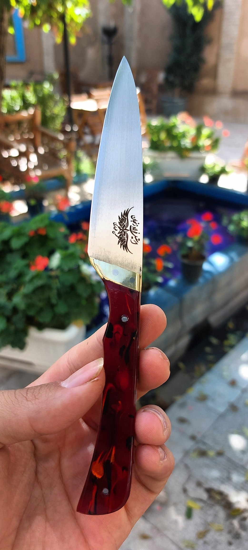 چاقوی دم دستی