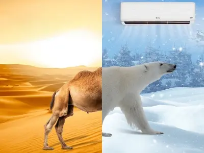 بنر سایت